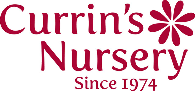 Currins Nursery, Inc.